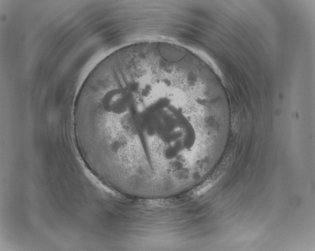 X0000074010903200609111620