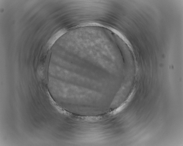 X0000074010905200609111620