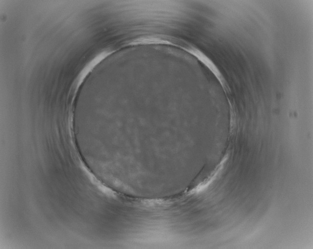 X0000074010909200609111620