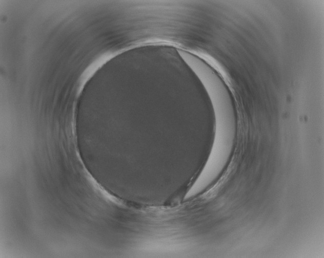 X0000074010910200609111620