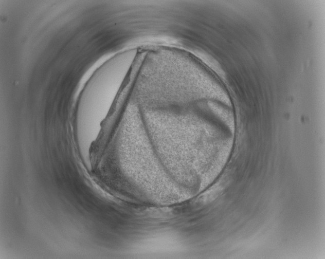 X0000074010912200609111620