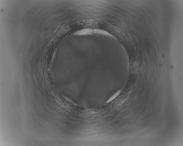 X0000074010913200609111619