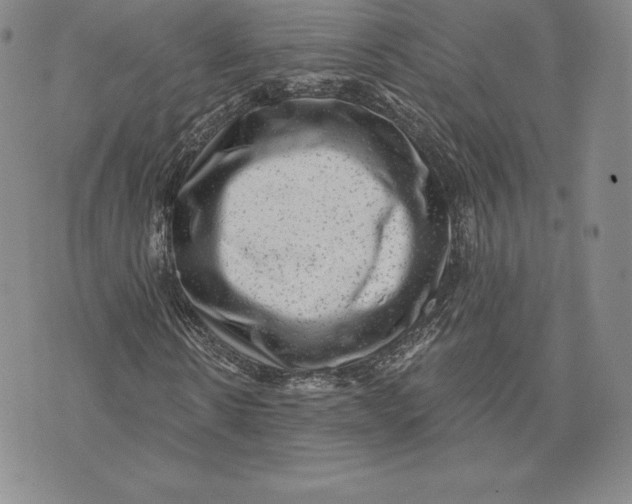 X0000074010914200609111619