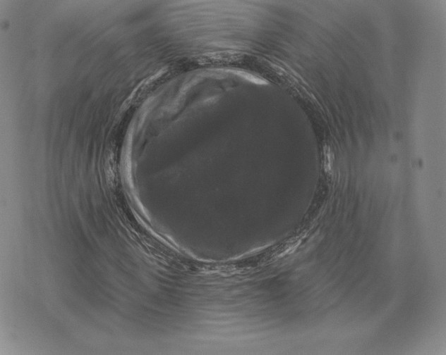 X0000074010915200609111620