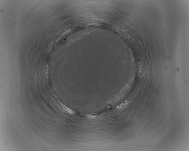 X0000074010916200609111620