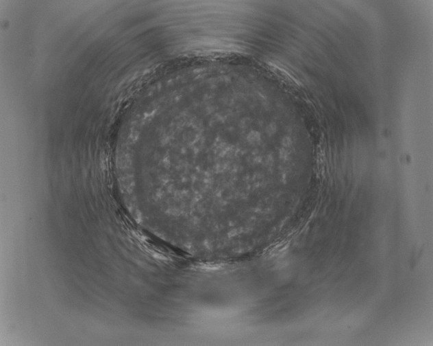 X0000074010917200609111620