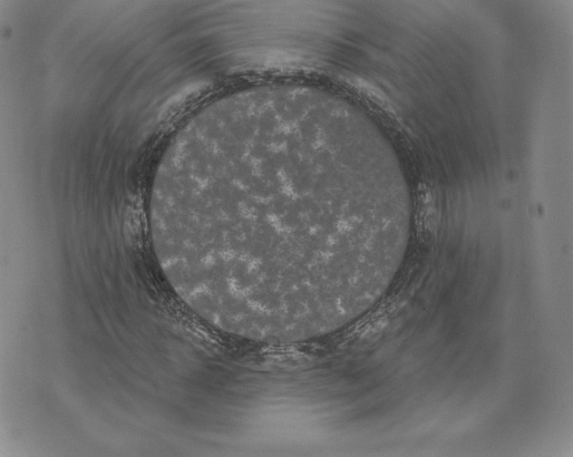 X0000074010918200609111620