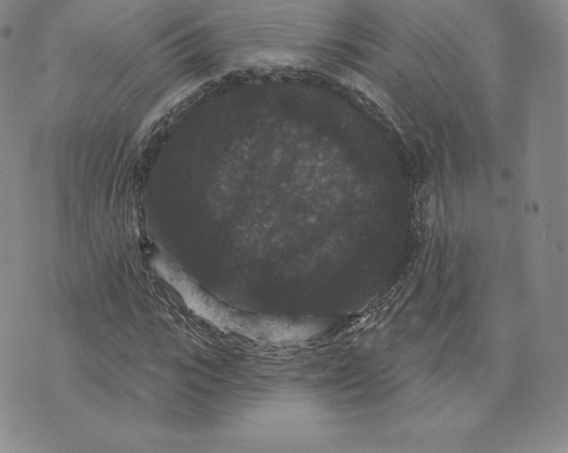 X0000074010919200609111620