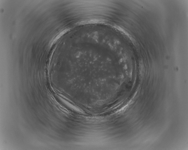 X0000074010921200609111620