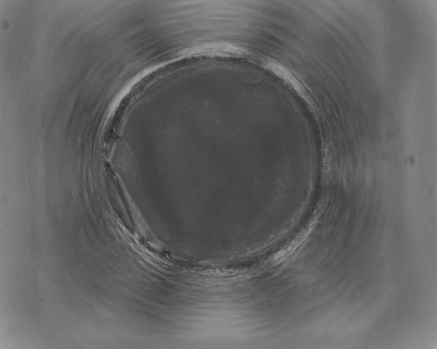 X0000074010923200609111620