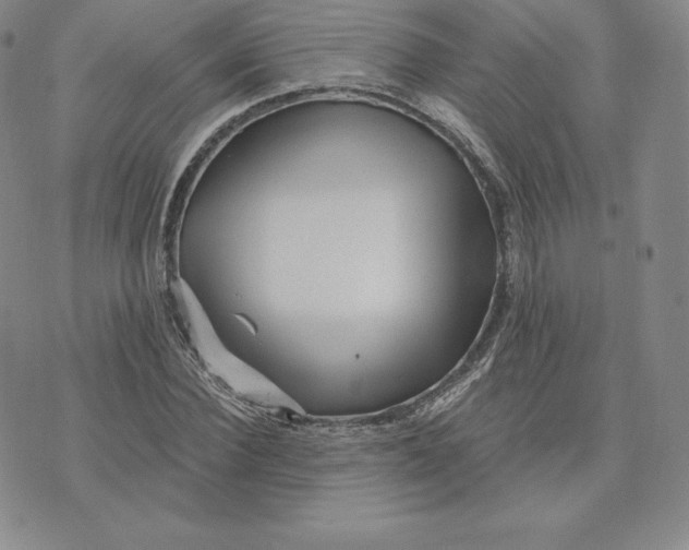 X0000074010924200609111620