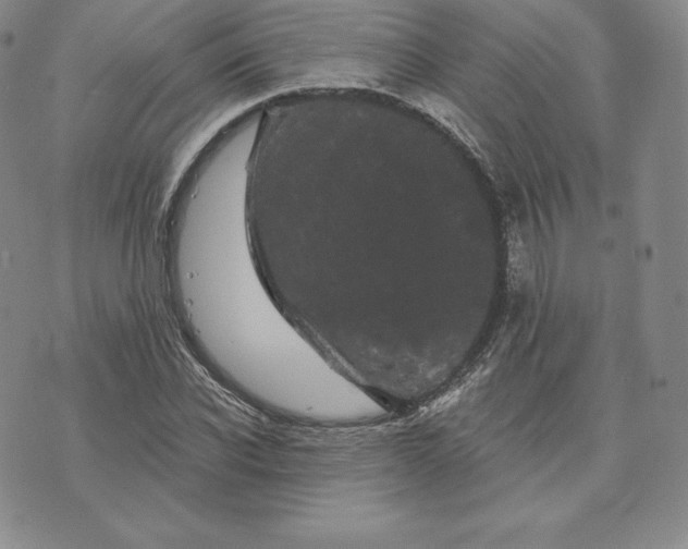 X0000074010926200609111620