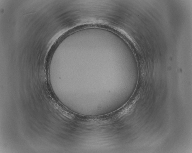 X0000074010927200609111620