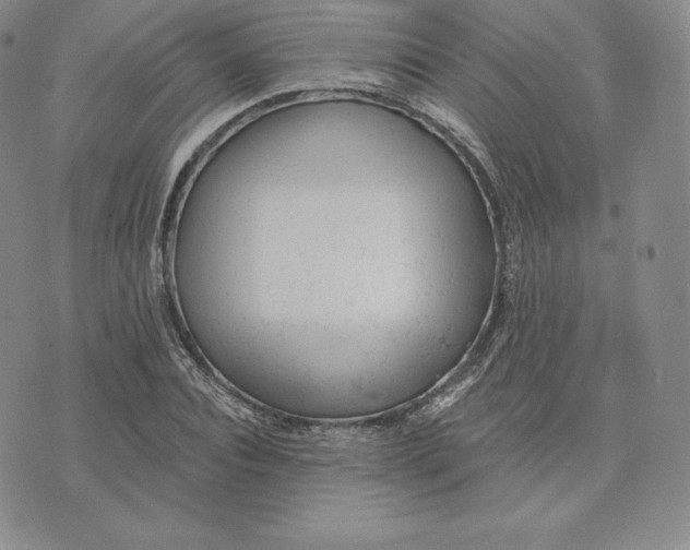 X0000074010928200609111620