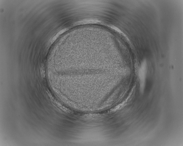 X0000074010929200609111620