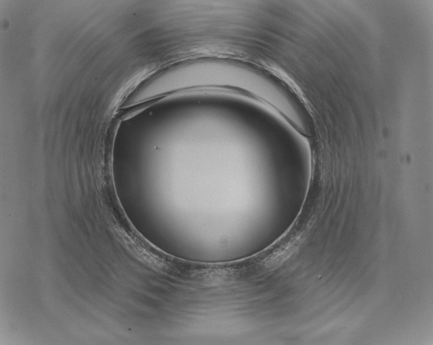 X0000074010930200609111620