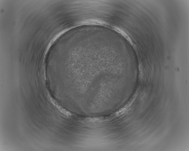 X0000074010931200609111620