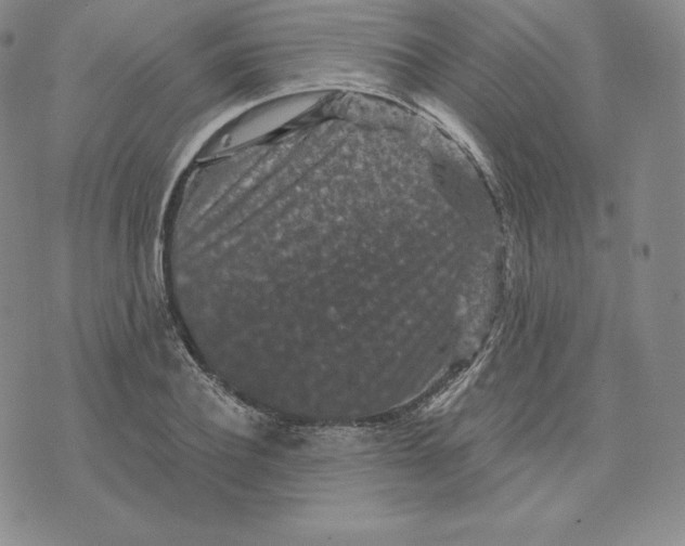 X0000074010932200609111620