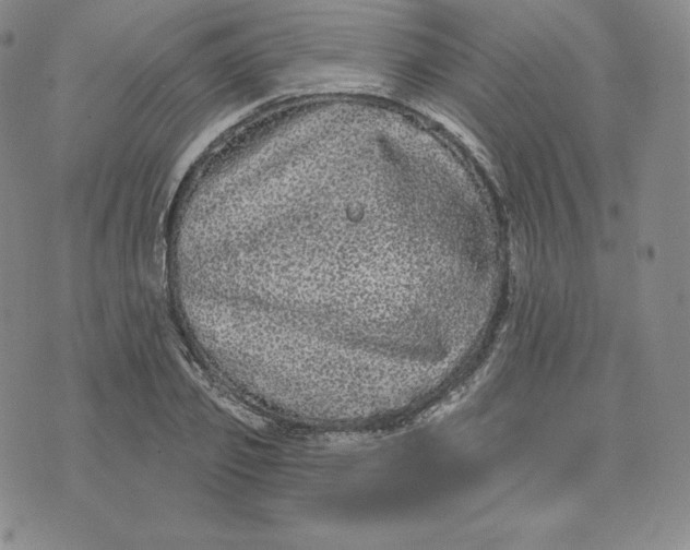 X0000074010933200609111620