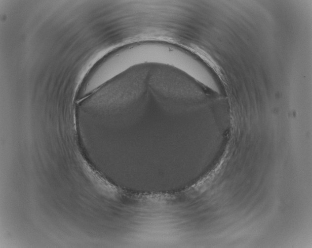 X0000074010934200609111620