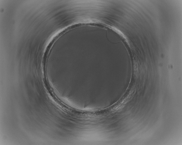 X0000074010935200609111620