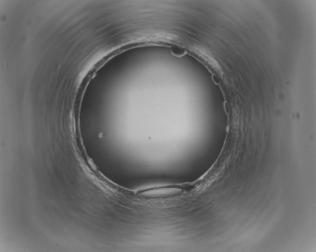 X0000074010936200609111620