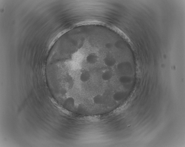 X0000074010937200609111620