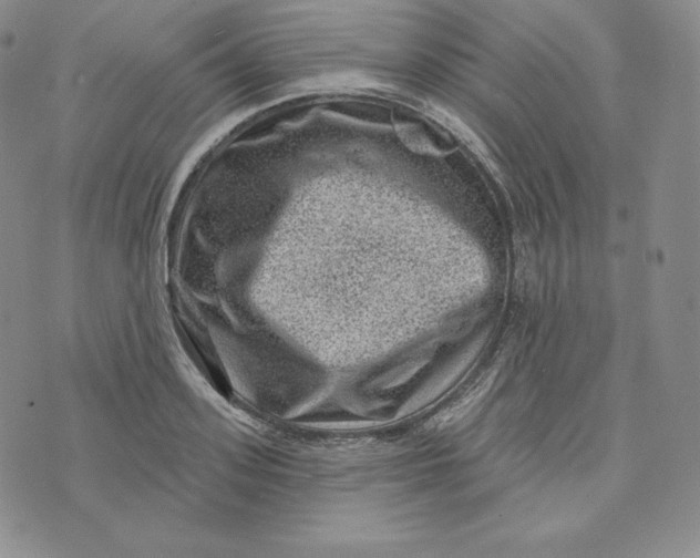 X0000074010939200609111620