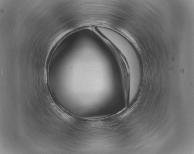 X0000074010940200609111620