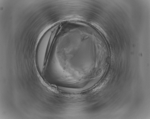 X0000074010941200609111620