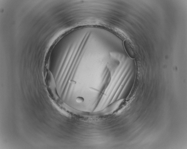 X0000074010942200609111620