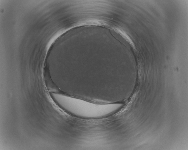 X0000074010944200609111620