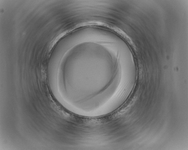 X0000074010945200609111620