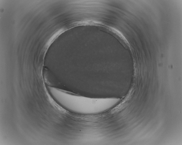 X0000074010946200609111620