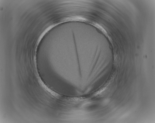 X0000074010947200609111620