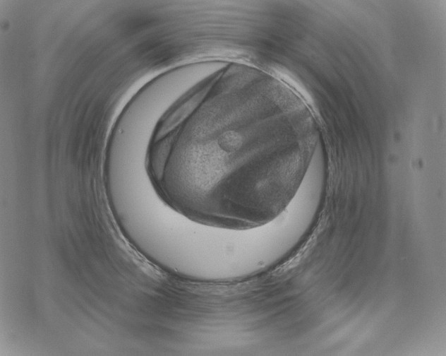 X0000074010948200609111620