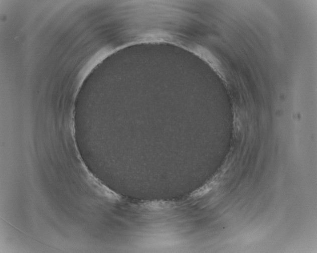 X0000074010950200609111620