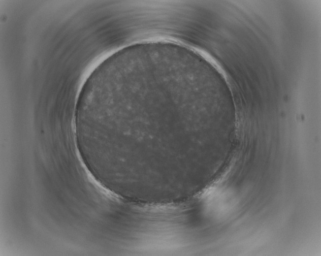 X0000074010951200609111620