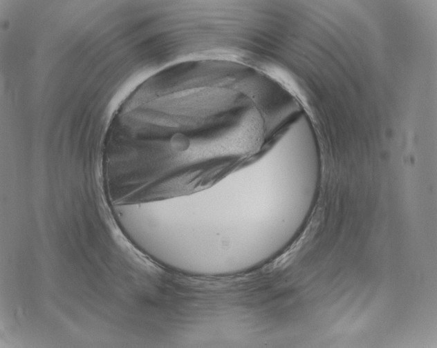 X0000074010952200609111620