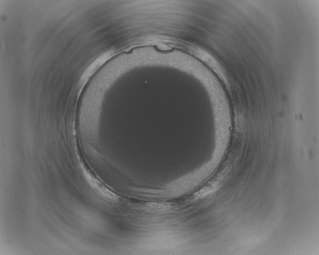 X0000074010954200609111620