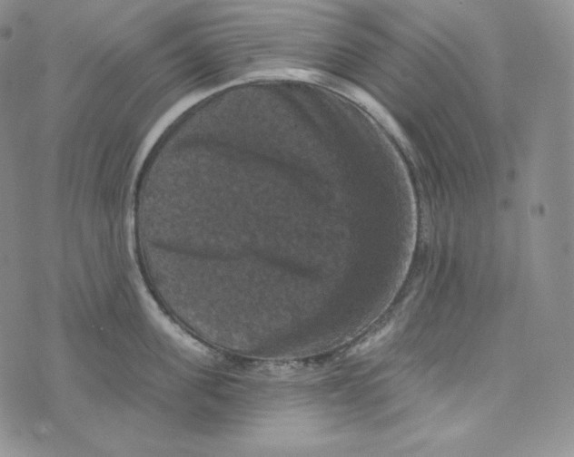 X0000074010955200609111620