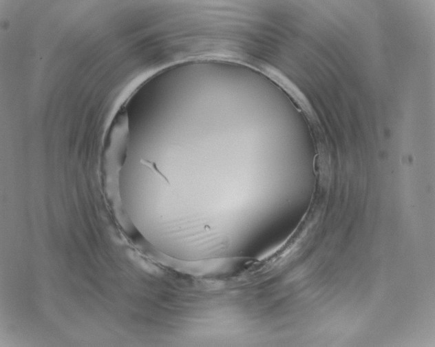 X0000074010956200609111620