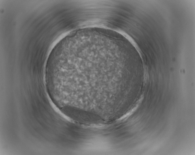 X0000074010957200609111620