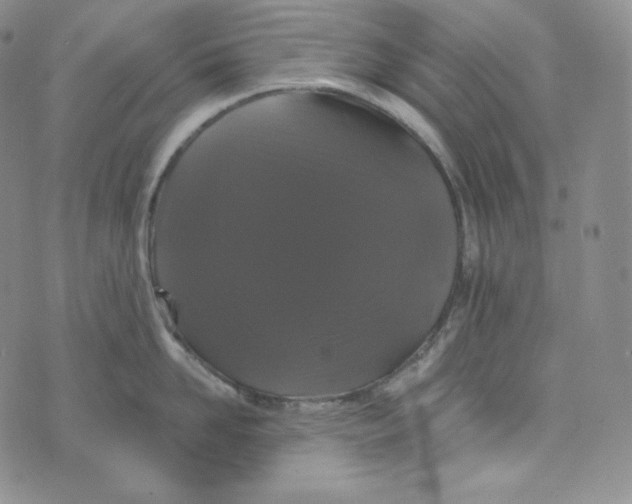 X0000074010958200609111620