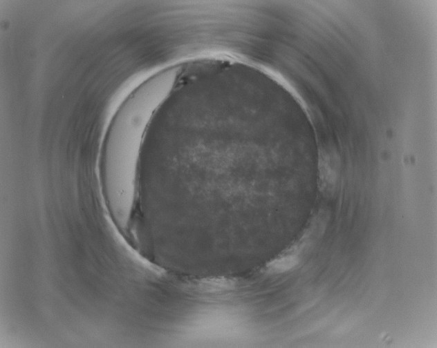 X0000074010959200609111620