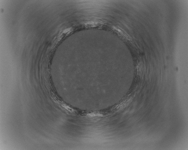 X0000074010961200609111619