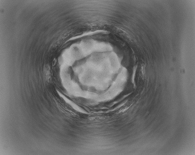 X0000074010963200609111619