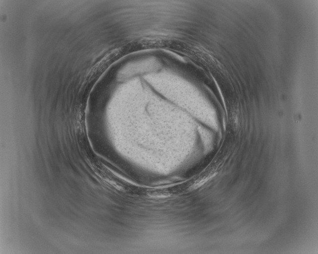 X0000074010964200609111619