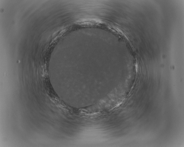 X0000074010965200609111619