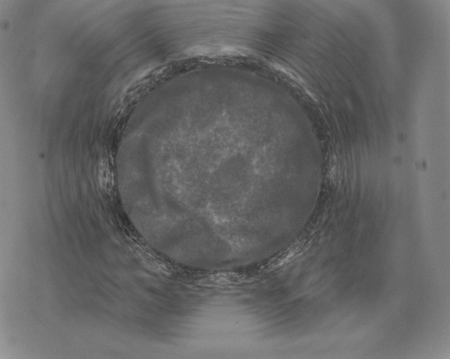 X0000074010966200609111619